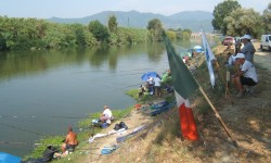 Campionato Italiano e Coppa Italia a Box: Mezzanese e San Felice Aurora tra i GRANDI