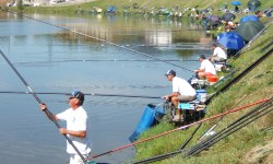 All’APO la prima prova del Campionato Toscano a Box 2015